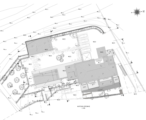 Roof Plan